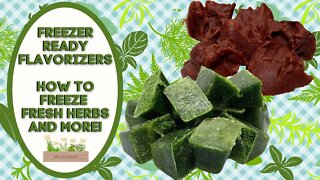 FREEZER READY FLAVORIZERS!! HOW TO FREEZE FRESH HERBS AND MORE!!