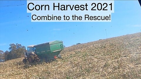 Corn Harvest 2021 Combine to the rescue, Tractor and grain cart stuck