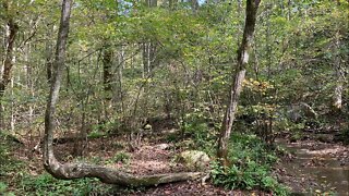 Cades Cove New Year Camping