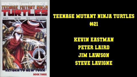 Teenage Mutant Ninja Turtles #21 - RETURN TO NEW YORK BOOK THREE