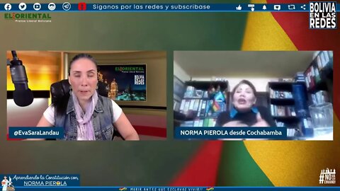 Norma Pierola nos explica con chuys la Constitución Política del Estado