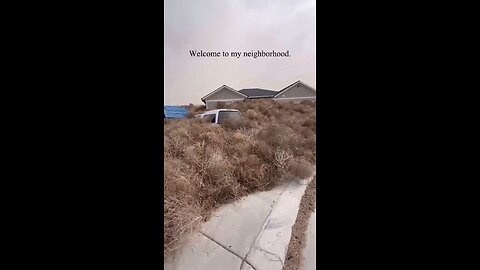 Utah Neighborhood invaded by Tumbleweeds during the Big storm.