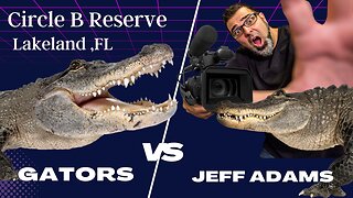 World’s Largest Alligator? - My Search For A Big Gator of Circle B Reserve, Lakeland,FL
