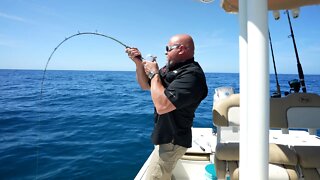 Sharks and Goliath Grouper ate all our Snapper! New Key West 250 BR