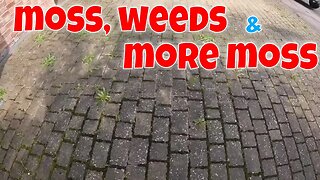 FILTHY, WEEDY, MOSS FILLED Driveway Gets The "PRESTIGE" Treatment | Pressure Washed & Soft Washed！