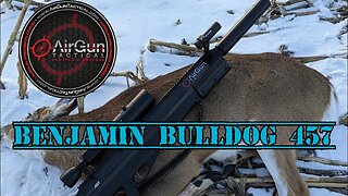 BENJAMIN BULLDOG 457 (DEER HUNT)