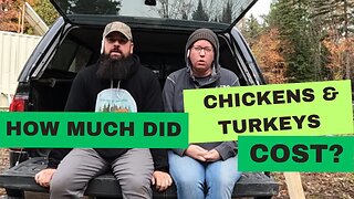 Cost of Growing Chickens & Turkeys | Chicken & Turkey Talk