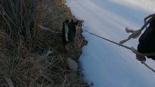 Frozen Conejos River