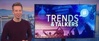 Trends and Talkers: Sombrero pigeons, green puppy and bears
