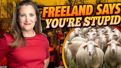 Freeland Insults Canadians in Public AGAIN!
