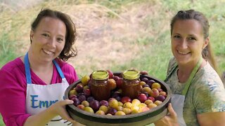 Canning Plum Butter [Canning Recipe and Tutorial]