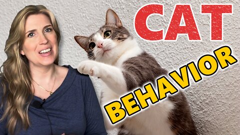 How To Understand AND Change Your Cats Behavior