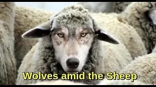 Wolves amid the Sheep with Pastor Peter & Pastor Mike