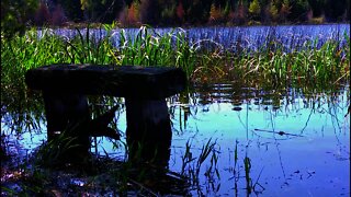 Beautiful Lake, Gorgeous Scenery