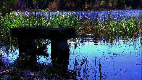 Beautiful Lake, Gorgeous Scenery