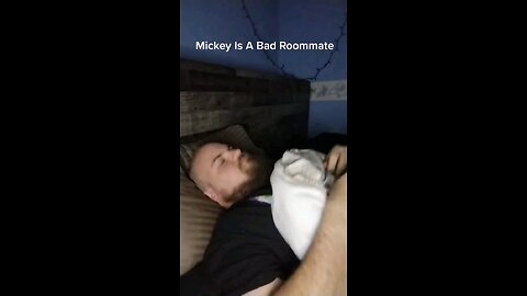 Mickey Mouse As A Roommate