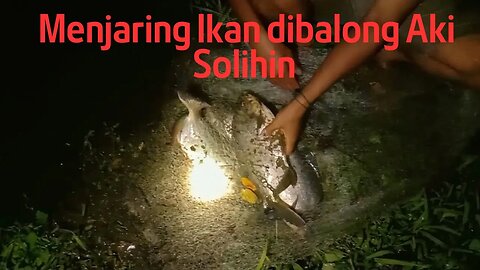 Menjala Ikan Bawal di Balong Aki Solihin | Ngecrik Lauk Beli