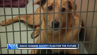 State of 208: Idaho Humane Society Plans for Growth