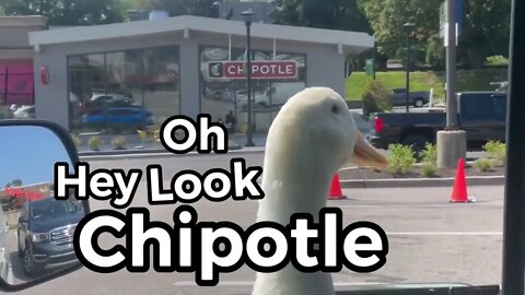 i took my duck to Chipotle 2
