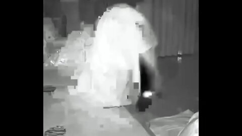 Snake Sneaks Up On Sleeping Guy On Security Cam Footage