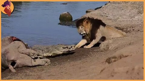 15 Scary Moments Of Crocodile VS Land Animals!!