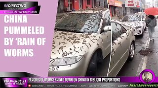 PLAGUES OF WORMS RAINED DOWN ON CHINA IN BIBLICAL PROPORTIONS