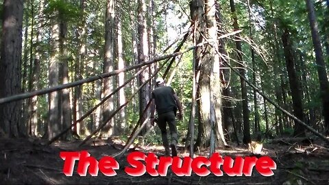 The Structure