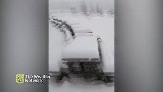 Picnic tables hibernating under the snow in Enfield, NS