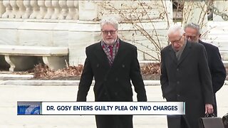 Dr. Gosy pleads guilty to two counts