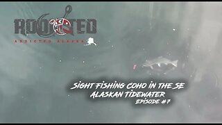 Alaska Salmon Fishing | Sight Fishing Coho in the SE Alaskan Tidewater | Addicted Alaska Ep. #7