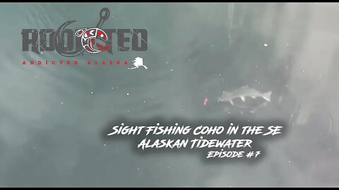 Alaska Salmon Fishing | Sight Fishing Coho in the SE Alaskan Tidewater | Addicted Alaska Ep. #7