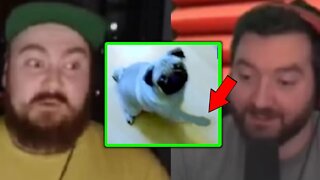 Count Dankula got ARRESTED for teaching his dog to do a Naźi salute