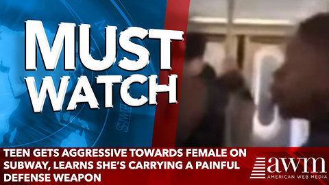 Teen Gets Aggressive Towards Female On Subway, Learns She’s Carrying A Painful Defense Weapon