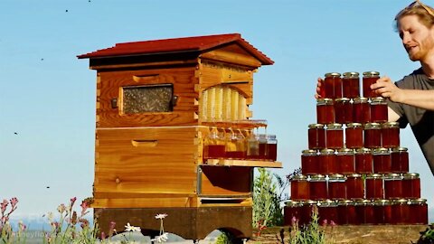 Amazing New Bee Hive Design To Make Your Own Honey - Easy & Safe FLOW HIVE