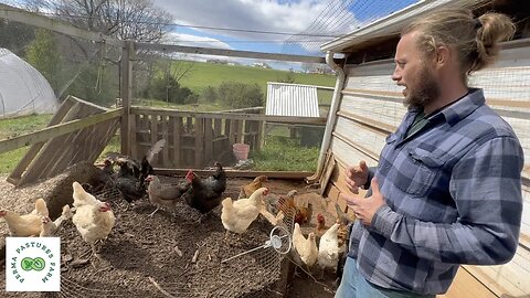 Chicken Composting System Tour // The Hollar Homestead
