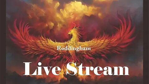 Battlefield 5 Livestream