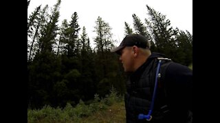 Banff Canada Hiking Elk Bugle