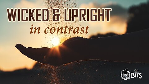 #746 // WICKED & UPRIGHT IN CONTRAST - LIVE