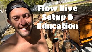 Thinking about getting a Flow Hive? Watch This First! 🐝❤️