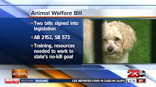 Newsom signs legislation requiring animals be microchipped prior to adoption