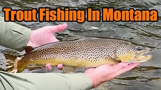 Trout Fishing In Montana