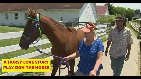 A Horsy Love Story Of A Woman That Lost Her Horse - Play Doh Fell Off A Cliff