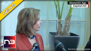 Pelosi Just Threw a Tantrum When Reporter Asked Her Very Simple Question