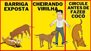 ✅10 Comportamentos Estranhos de Cães e o que eles Realmente Significam