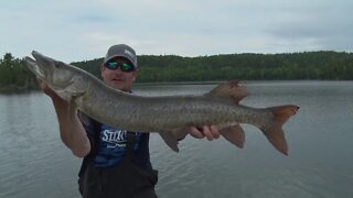 Multi Species Action from Slippery Winds in Ontario