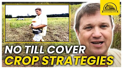 Fall Cover Crops: Creative Strategies for No Till Planting