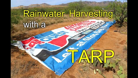 Rainwater Harvesting with a TARP