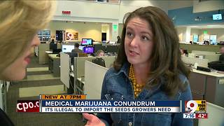 Medical marijuana conundrum