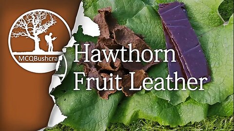 Bushcraft Foraging Berries & Making Fruit Leather