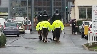 4K POLICE ON HORSES PARTOLS IN PARIS
